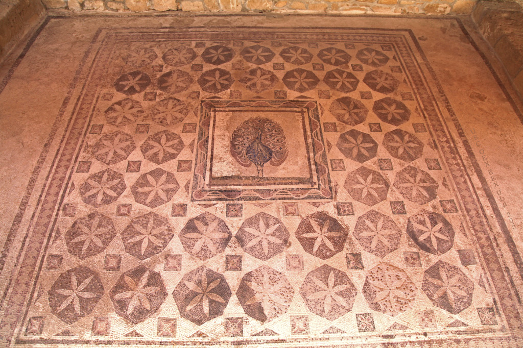 Peacock at Dionysos Palace in Paphos on Cyprus